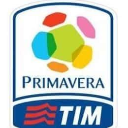 Primavera TIM