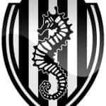 Cesena | Oggi il club romagnolo rischia 1 punto di penalizzazione