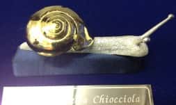 chiocciola d oro