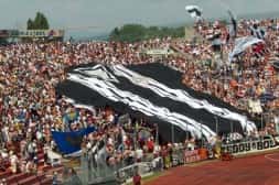 Curva Udinese1