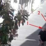 Daspo a tifosi viola dopo Empoli-Fiorentina