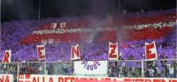 Tifosi Fiorentina 6