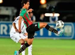 ternana-signorelli-540x400