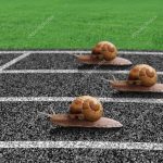 Lotta Salvezza – Il cammino fino alla fine…