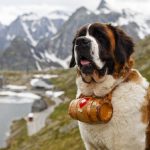 Le considerazioni improbabili di… Empoli-Carpi!