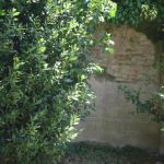 Nel centenario azzurro spunta un pezzo di muro del vecchio “Castellani”