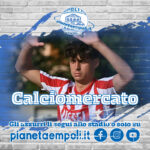 Mercato Azzurro | Arriva Filippo Alessio !