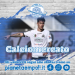 Mercato Azzurro | Prende corpo l’idea dell’altro Esposito