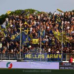 Le ultime news da Verona