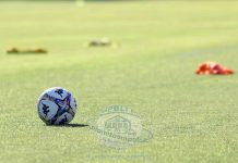 Le ultime news da Avellino