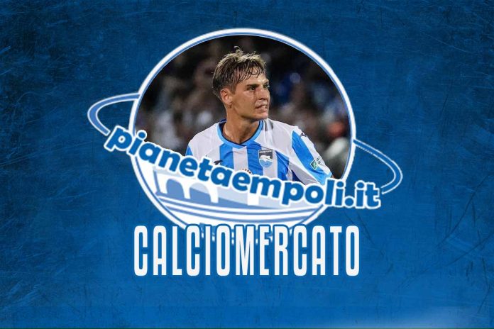olzer mercato